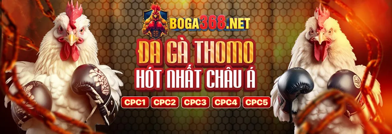 Chương trình đối tác surewin login